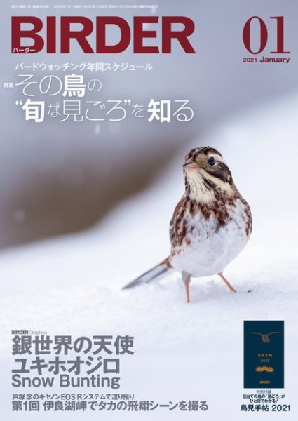 BIRDER（バーダー） 2021年1月号 (発売日2020年12月16日) 表紙