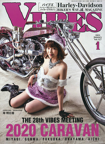 VIBES（バイブズ） 2021年1月号 (発売日2020年12月11日) | 雑誌/定期