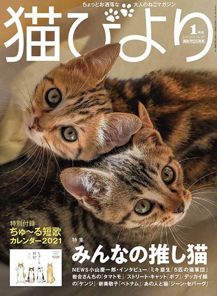 猫びより 猫びより vol.115 (発売日2020年12月11日) 表紙