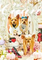 Cuun（クーン） 2020年12月号 (発売日2020年12月10日) 表紙