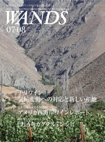 WANDS（ウォンズ） No.416 (発売日2020年07月06日) 表紙