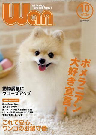 wan（わん） 2008年10月号 (発売日2008年09月13日) 表紙