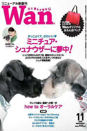 wan（わん） 2008年11月号 (発売日2008年10月14日) 表紙