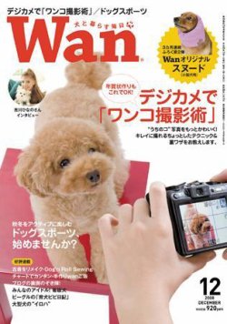 wan（わん） 2008年12月号 (発売日2008年11月14日) 表紙
