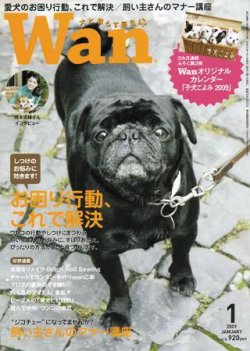 wan（わん） 2009年1月号 (発売日2008年12月13日) 表紙