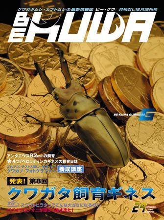 BE-KUWA（ビークワ） 29 (発売日2008年10月21日) 表紙