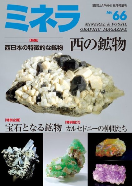 ミネラ（MINERA） No.66 (発売日2020年07月28日) 表紙