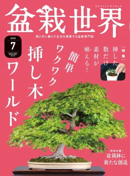 盆栽世界 2020年7月号 (発売日2020年06月04日) 表紙