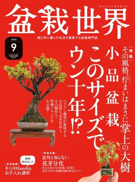 盆栽世界 2020年9月号 (発売日2020年08月04日) 表紙