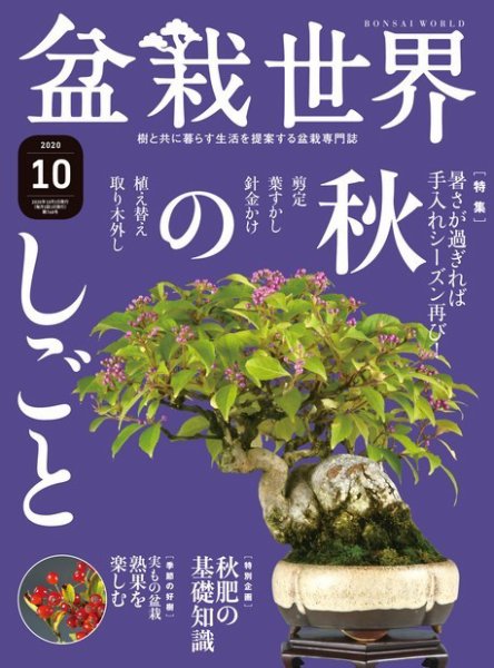 盆栽世界 2020年10月号 (発売日2020年09月04日) 表紙