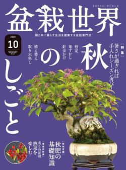 盆栽世界 2020年10月号 (発売日2020年09月04日) 表紙