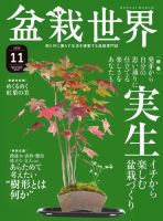 盆栽世界 2020年11月号 (発売日2020年10月02日) 表紙