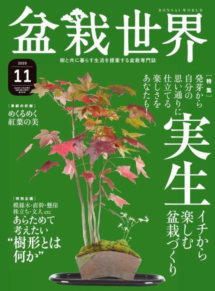 盆栽世界 2020年11月号 (発売日2020年10月02日) 表紙