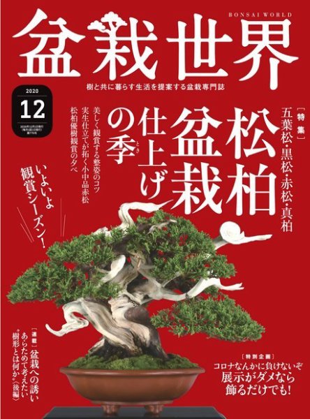 盆栽世界 2020年12月号 (発売日2020年11月04日) 表紙