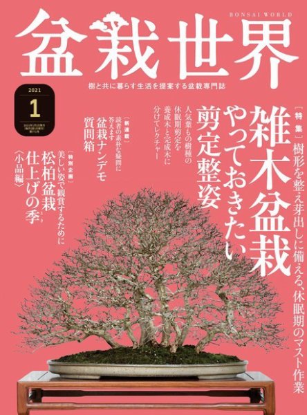 盆栽世界 2021年1月号 (発売日2020年12月04日) 表紙