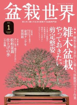 雑誌/定期購読の予約はFujisan 雑誌内検索：【松柏】 が盆栽世界の2020年12月04日発売号で見つかりました！