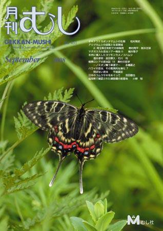 月刊むし 451 (発売日2008年08月20日) 表紙