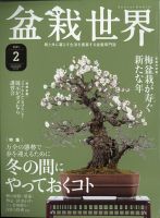 盆栽世界 2021年2月号 表紙