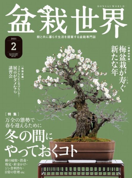 盆栽世界 2021年2月号 (発売日2020年12月26日) 表紙