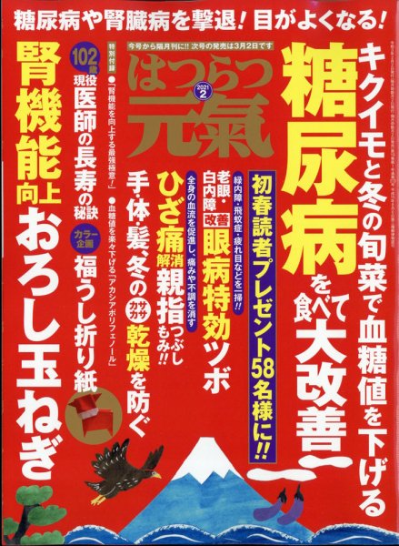 はつらつ元気 2021年2月号 (発売日2020年12月28日) 表紙