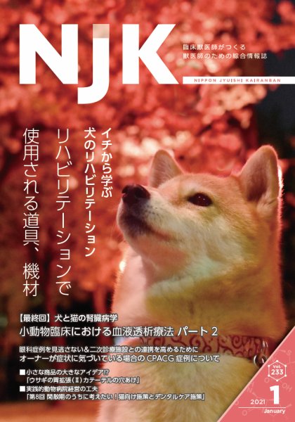 NJK Vol.233 (発売日2021年01月01日) 表紙