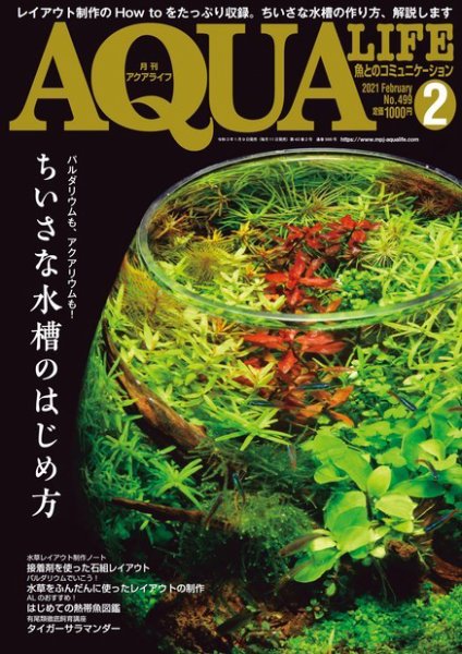 アクアライフ 2月号 (発売日2021年01月09日) 表紙
