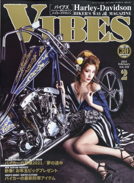 VIBES（バイブズ） 2021年2月号 (発売日2021年01月09日) 表紙
