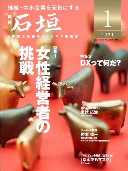 月刊 石垣 2021年1月号 (発売日2021年01月10日) 表紙
