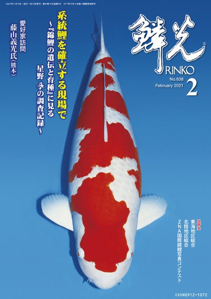 鱗光 2021年01月15日発売号 表紙