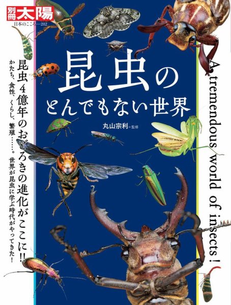 別冊太陽 昆虫のとんでもない世界 (発売日2020年08月03日) 表紙
