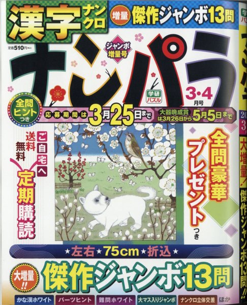 ナンパラ 2021年3月号 (発売日2021年01月26日) 表紙