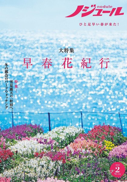 ノジュール（nodule） 2021年2月号 (発売日2021年01月28日) 表紙