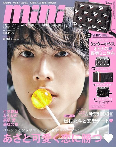 人気 mini 雑誌 値段