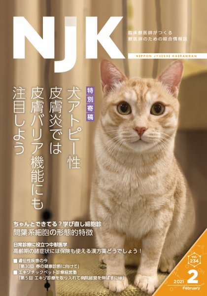 NJK Vol.234 (発売日2021年02月01日) 表紙