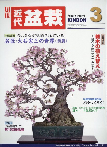 月刊 近代盆栽 2021年3月号 (発売日2021年02月04日) 表紙