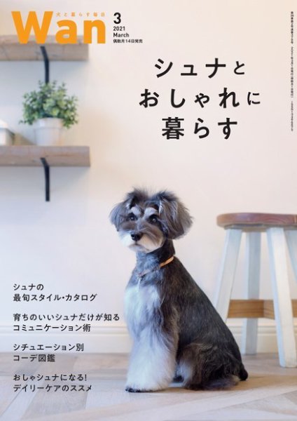 wan（わん） 2021年3月号 (発売日2021年02月13日) 表紙