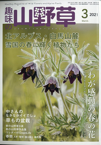 趣味の山野草 21年3月号 発売日21年02月12日 雑誌 定期購読の予約はfujisan