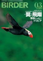 BIRDER (バ ーダ ー) 2006年02月号 BIRDER (バ ーダ ー) 2006年02月号 BIRDER（バーダー）のバックナンバー |