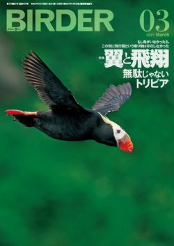 BIRDER（バーダー） 2021年3月号 (発売日2021年02月16日) 表紙