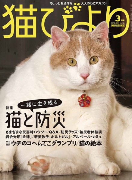 猫びより 猫びより vol.116 (発売日2021年02月12日) 表紙