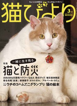 猫びより の最新号 猫びより Vol 116 発売日21年02月12日 雑誌 定期購読の予約はfujisan