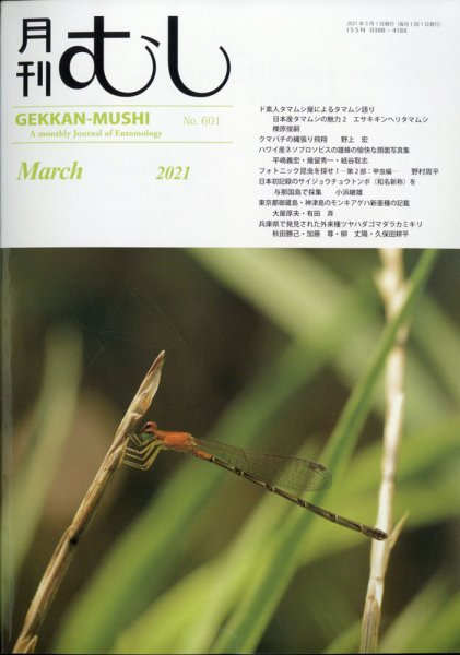 月刊むし 601 (発売日2021年02月24日) 表紙