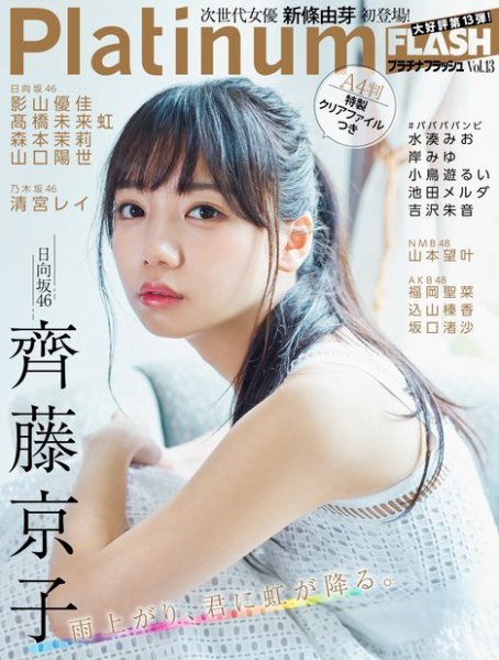 Platinum FLASH（プラチナフラッシュ） Vol.13 (発売日2020年09月10日) 表紙