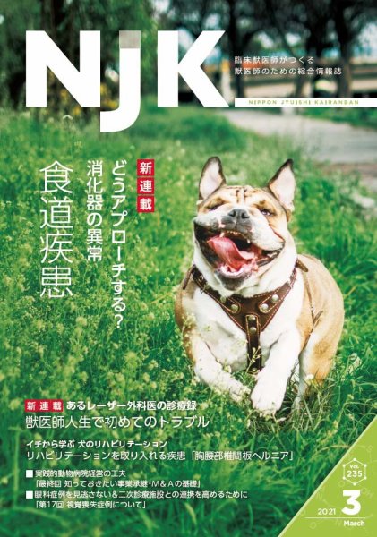 NJK Vol.235 (発売日2021年03月01日) 表紙