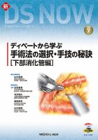 新DS NOW No.9 (発売日2021年02月28日) 表紙