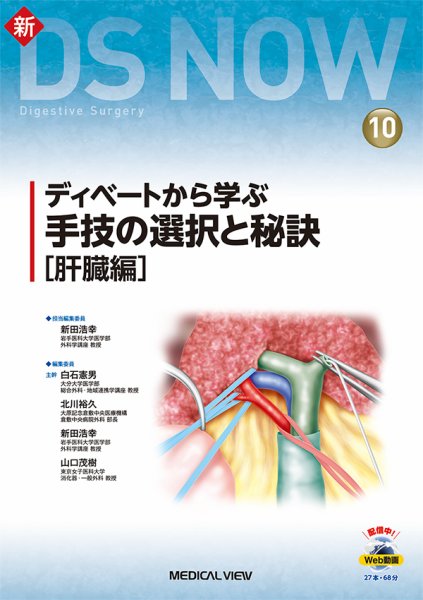 新DS NOW No.10 (発売日2021年05月28日) 表紙