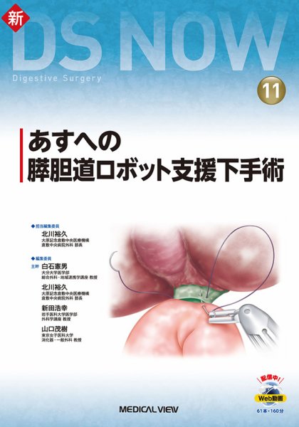 新DS NOW No.11 (発売日2021年08月28日) 表紙