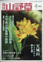 趣味の山野草 2021年4月号 (発売日2021年03月12日) | 雑誌/定期購読の