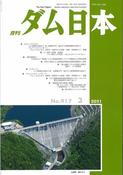 ダム日本 No.917 (発売日2021年03月10日) 表紙