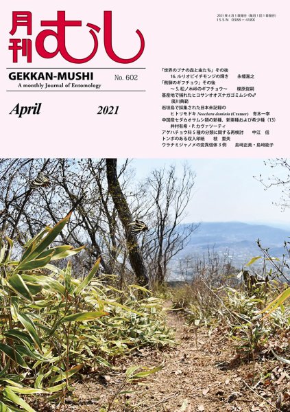 月刊むし 602 (発売日2021年03月20日) 表紙